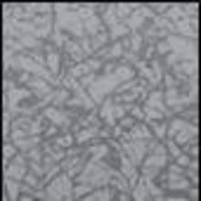 metal wall art, neurona